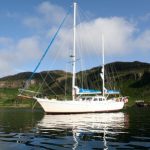 Schottland whale watching