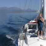 Schottland whale watching