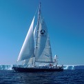 song-of-the-whale-iceb