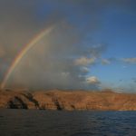 La Gomera Regenbogen, Delfin- und Wal-Praktikumskurs für alle, die Meer wissen wollen!