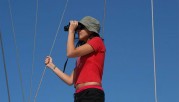 Wal in Sicht (Foto: Tethys)